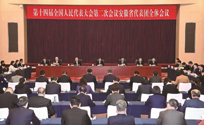 十四屆全國人大二次會議安徽代表團舉行全體會議 推選